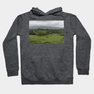 Scenic inner Kauai rural scene, Hawaii Hoodie